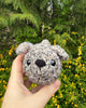 69d14beb4157ff084317c6e1_img-0503_1776292335384.jpeg