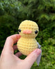 69d14beb4157ff084317c6e1_img-1270_1778967048271.jpeg