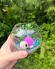 69d14beb4157ff084317c6e1_img-1274_1778967434869.jpeg