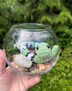 69d14beb4157ff084317c6e1_img-1276_1778967722866.jpeg