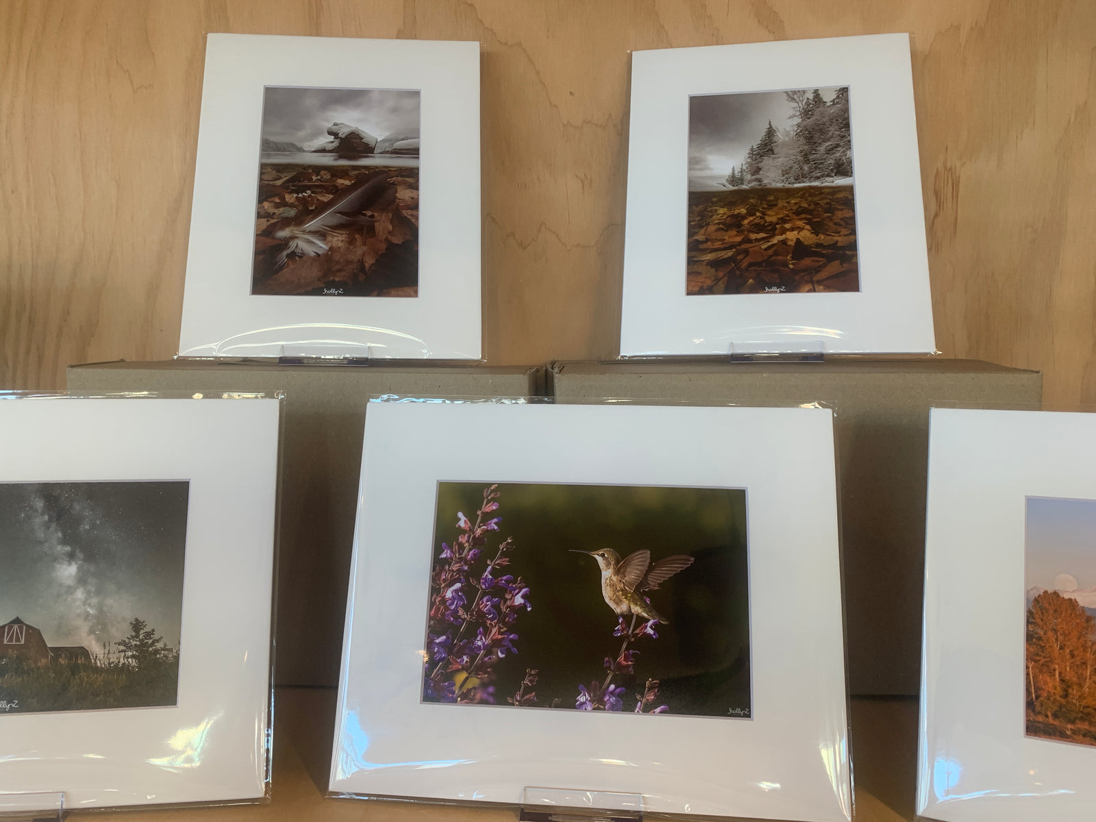 Matted Prints (8x10)