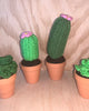 Soft Sprout Planters (Crochet)