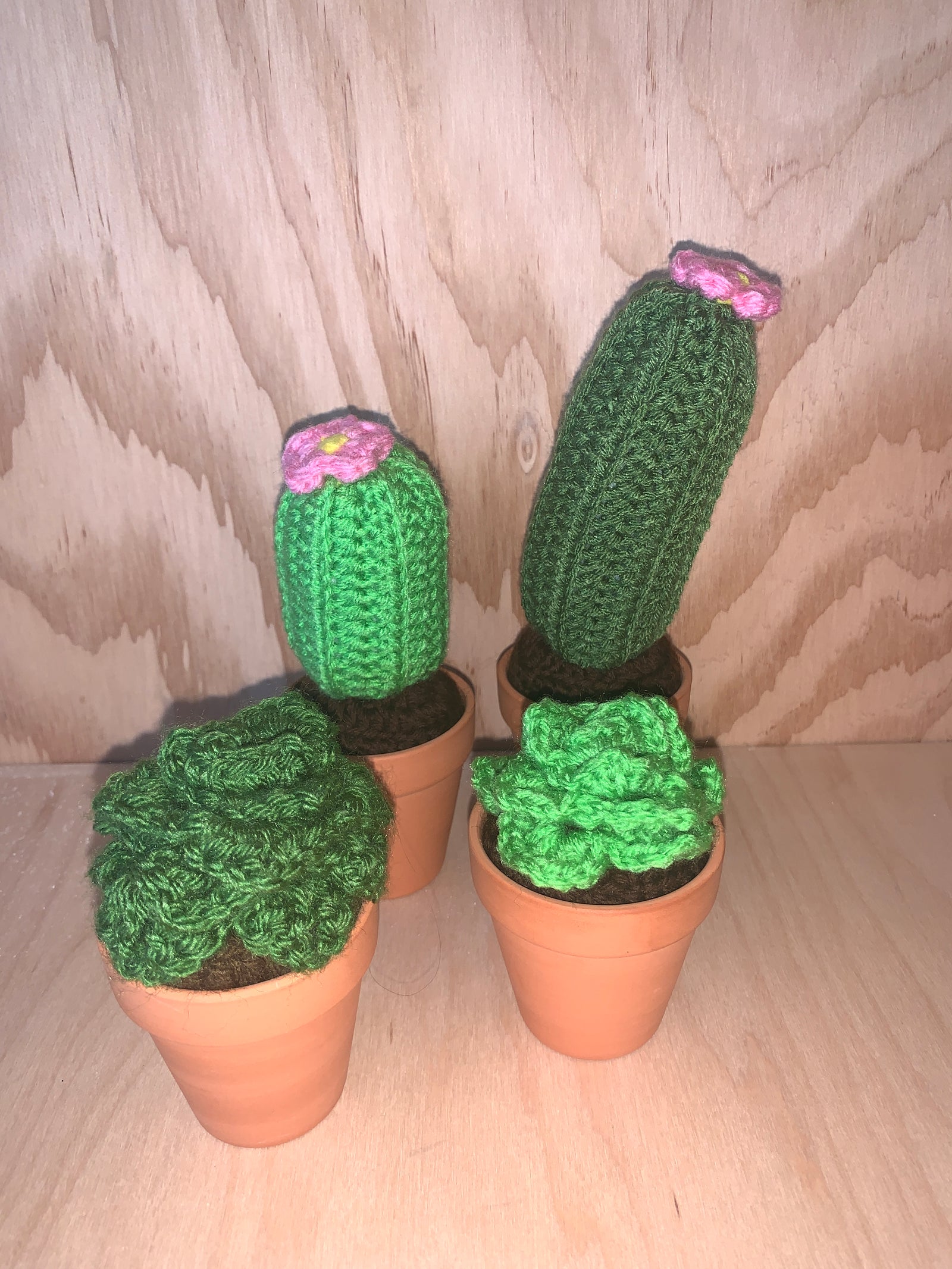 Soft Sprout Planters (Crochet)