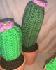 Soft Sprout Planters (Crochet)