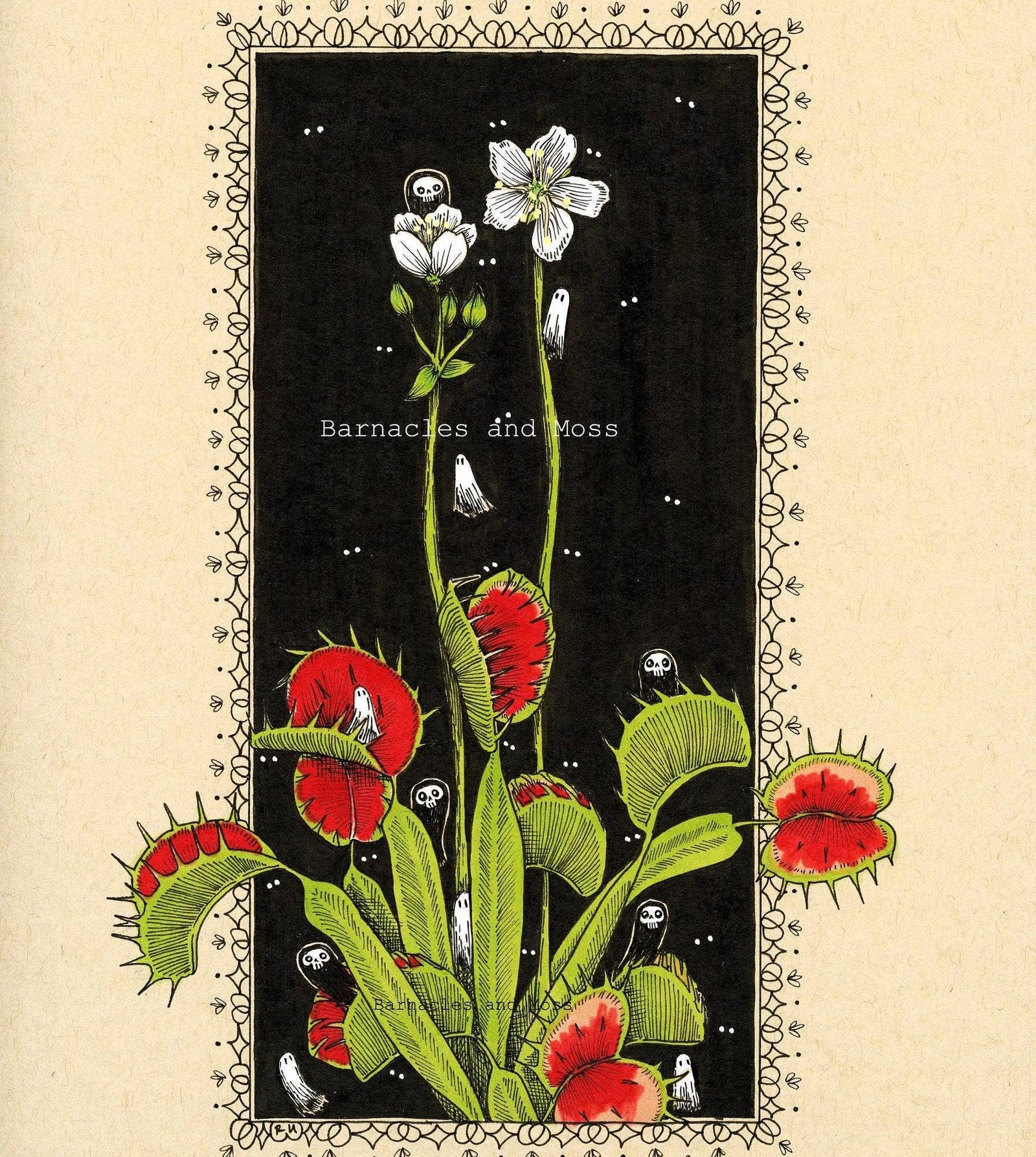 Venus Flytrap - Fine Art Print (11 x 8.5)