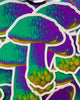 King Bolete Sticker